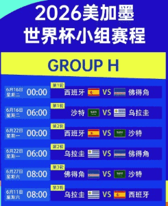 2026世界杯比赛场景 买球网实时赔率